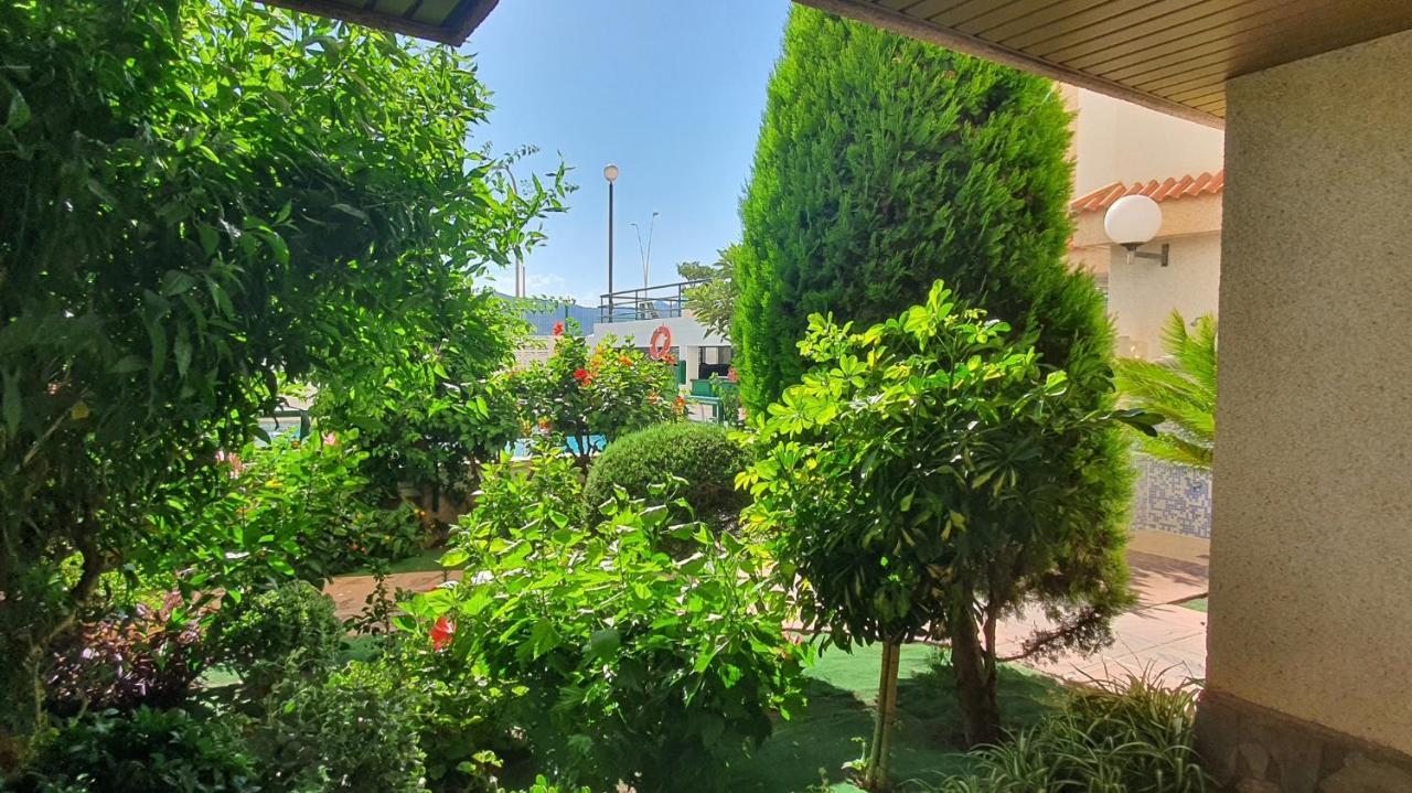 Jardines Gandia- Solo Familias Διαμέρισμα Playa de Gandia Εξωτερικό φωτογραφία